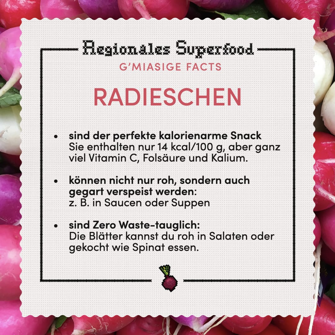 Informationen zum regionalem Superfood Radieschen